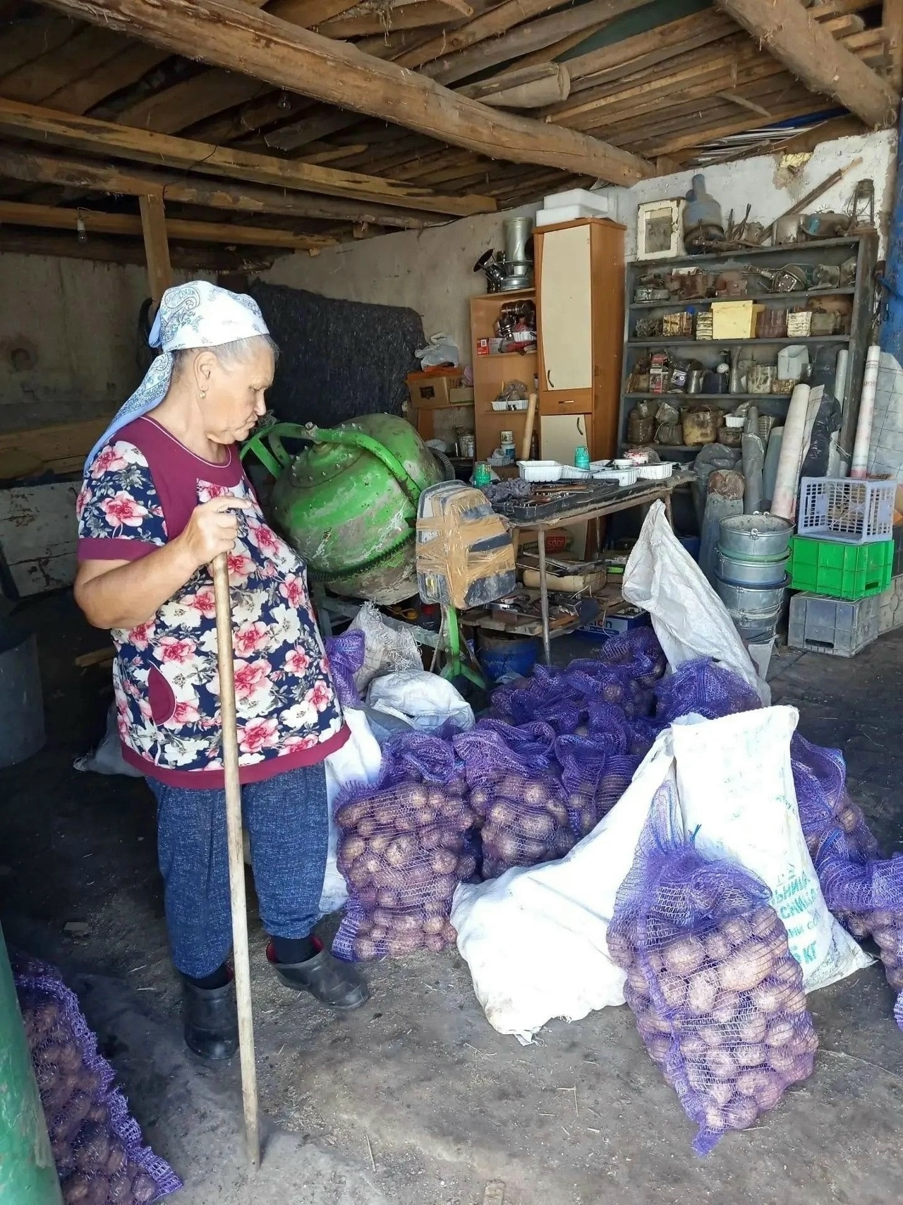  Подзаголовок: Социальные работники помогли подопечным с уборкой урожая и подготовкой участков к зиме.