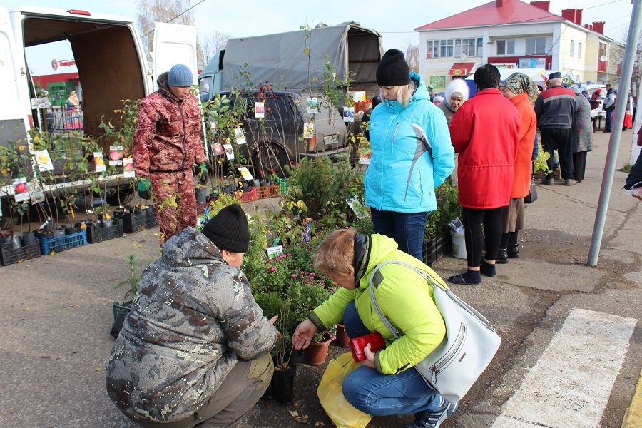 В прошлую субботу в Новошешминске прошла первая осенняя ярмарка этого года, приуроченная  ко Дню работника сельского хозяйства и декаде пожилых людей
