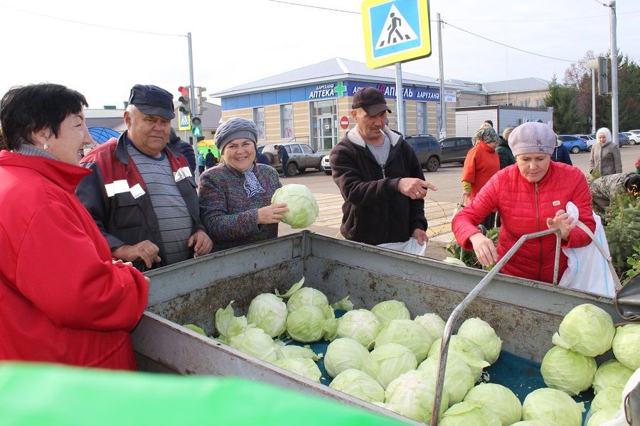 В прошлую субботу в Новошешминске прошла первая осенняя ярмарка этого года, приуроченная  ко Дню работника сельского хозяйства и декаде пожилых людей