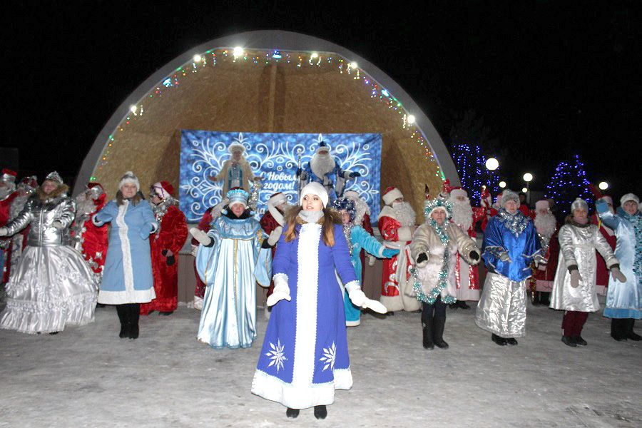 На открытии главной елки Новошешминского района наградили победителей конкурса