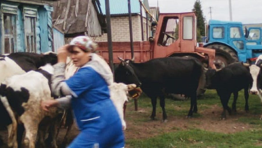 В рамках фестиваля «Слободское кольцо» лучшим подсобным хозяйством Петропавловского СП было названо личное подворье   семьи Писцовых из деревни Андреевка