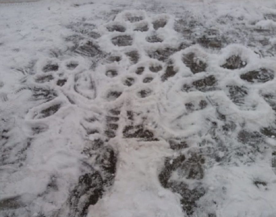 В Новошешминске дети рисовали на снегу