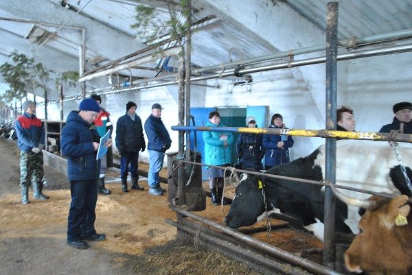 В Тубылгы Тау прошел семинар технологов по воспроизводству скота