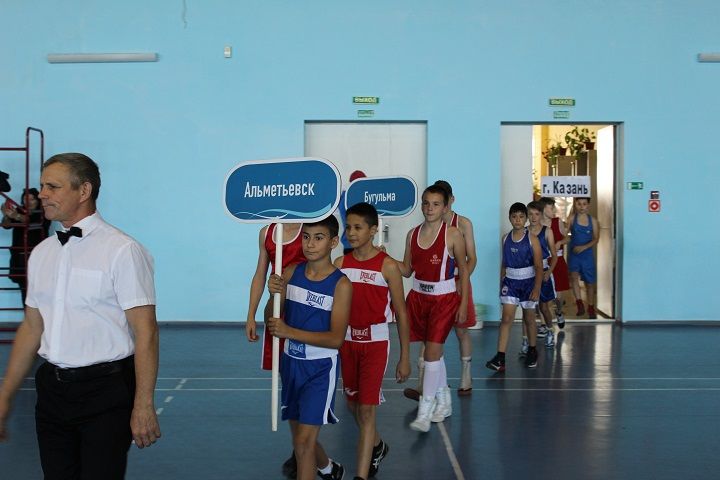 В Новошешминске стартовал Межрегиональный турнир по боксу