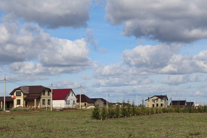 В Новошешминске высажено более 500 елей и сосен