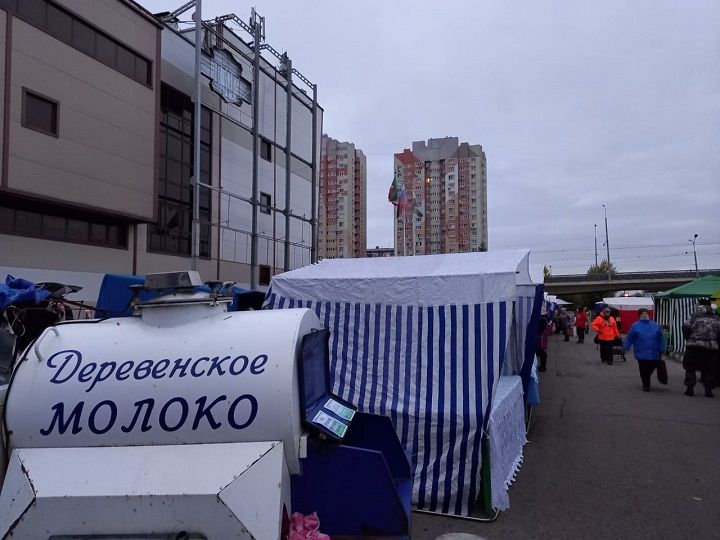 Предприниматели Новошешминского района приняли участие на очередной ярмарке в Казани