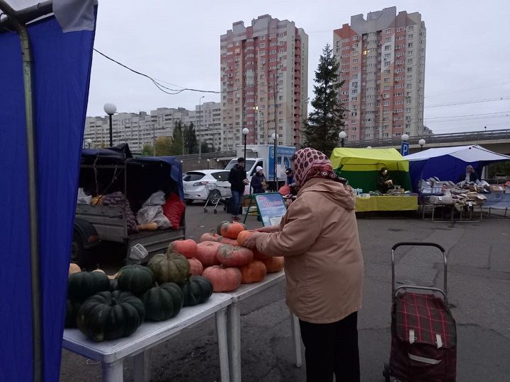 Предприниматели Новошешминского района приняли участие на очередной ярмарке в Казани