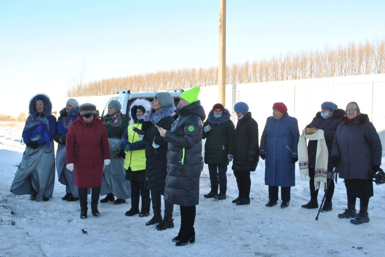 Новая молочная ферма на 200 коров открылась в Русской Чебоксарке