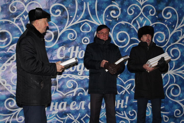Открытие главной ёлки в Новошешминском районе