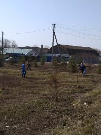 Акция «Эковесна» проходит в Новошешминском доме-интернате для престарелых и инвалидов