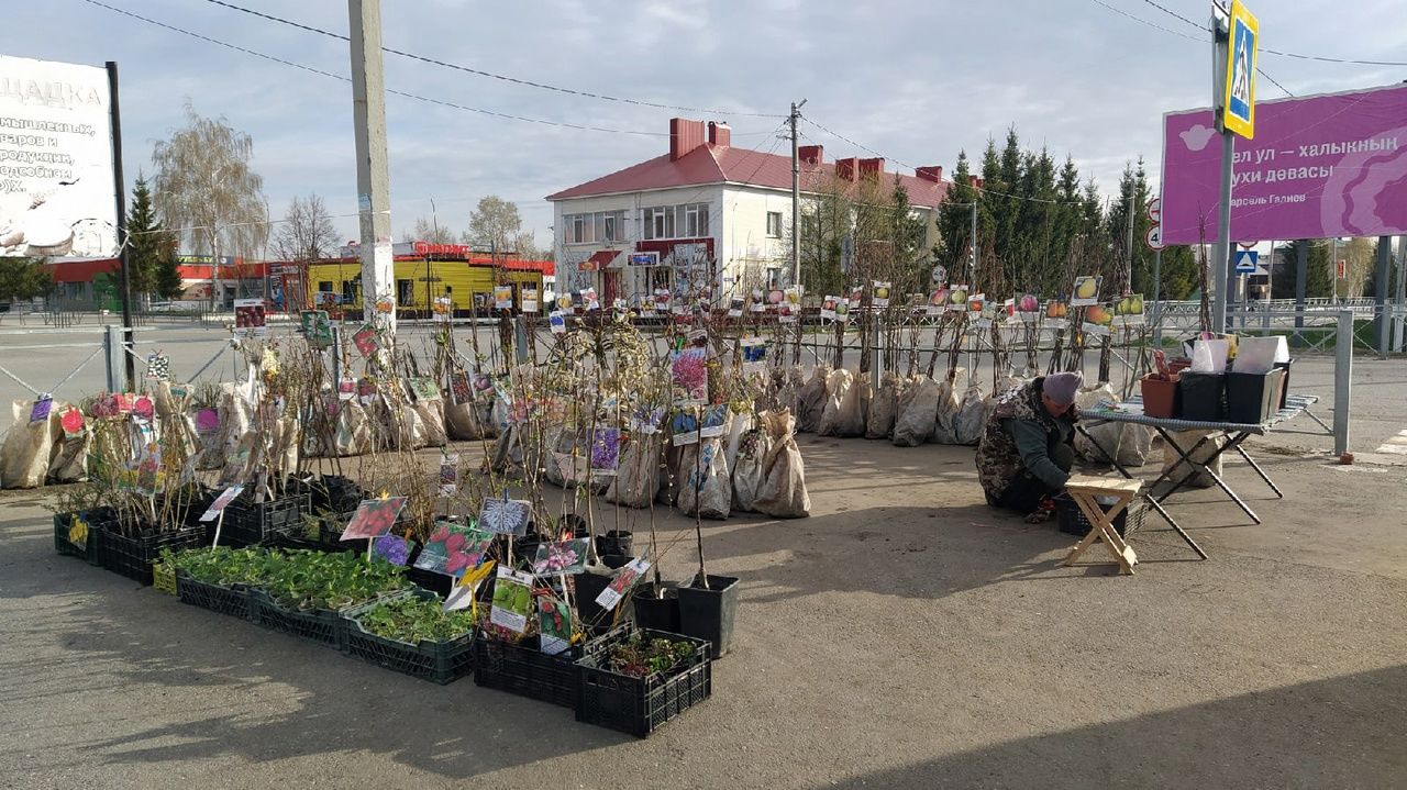30 апреля в Новошешминске прошла последняя ярмарка весеннего сезона (фоторепортаж)