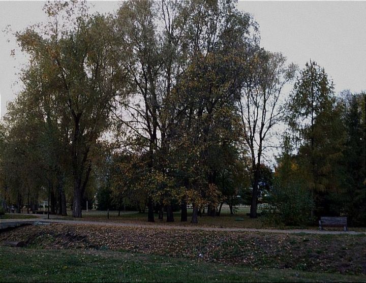 В Татарстане ожидается похолодание с дождем и мокрым снегом