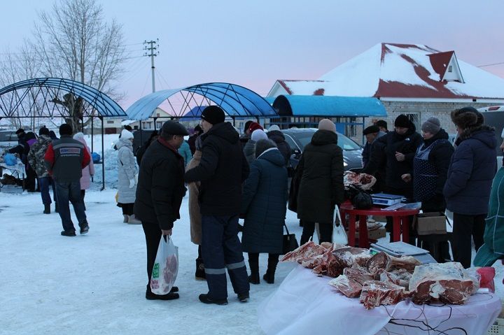 Предновогодняя ярмарка в Новошешминске была оживленной