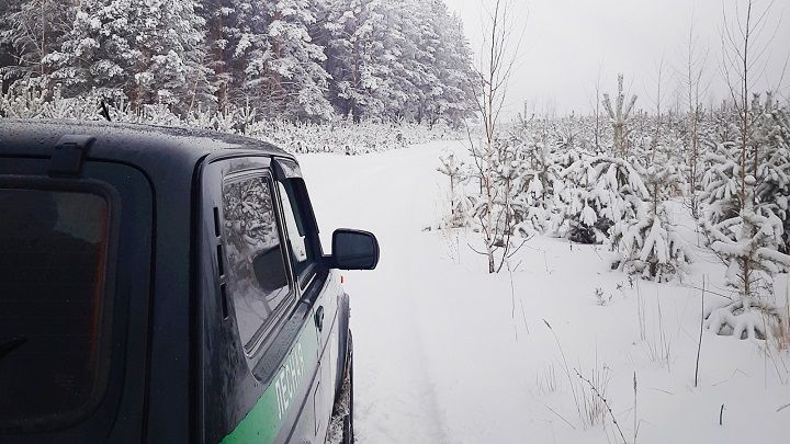 В Татарстане с 18 по 31 декабря пройдет операция «Ель»