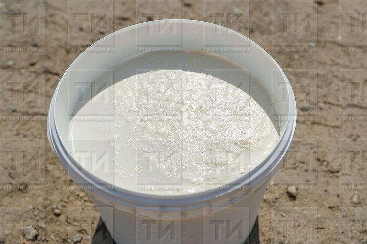 В Татарстане снизились закупочные цены на молоко