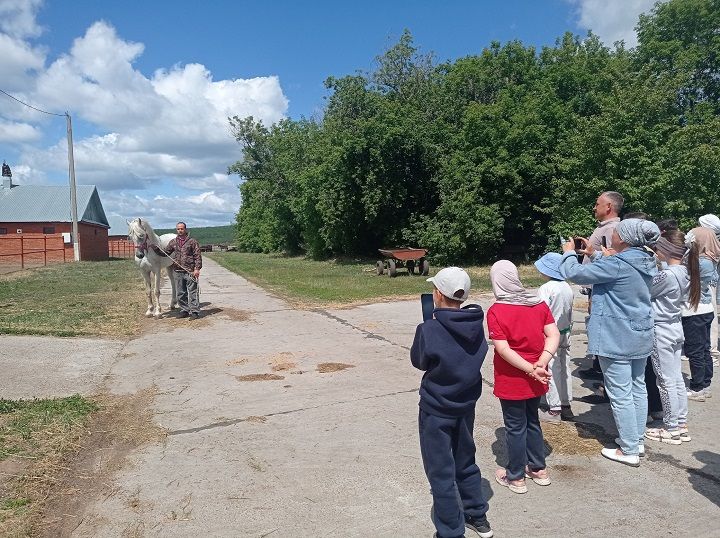 Зирекле лицееның мәктәп яны лагерында егерменче көн эмоцияләргә бай булган