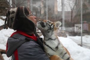 Опубликован обновленный перечень животных, запрещенных к содержанию