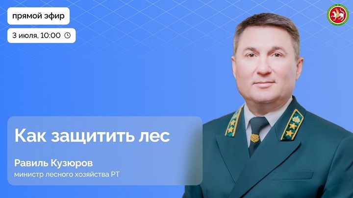 Прямой эфир с министром лесного хозяйства Татарстана: защита лесов и борьба с угрозами