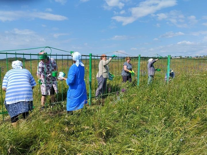 Жители деревни Новое Иванаево провели субботник по благоустройству кладбища