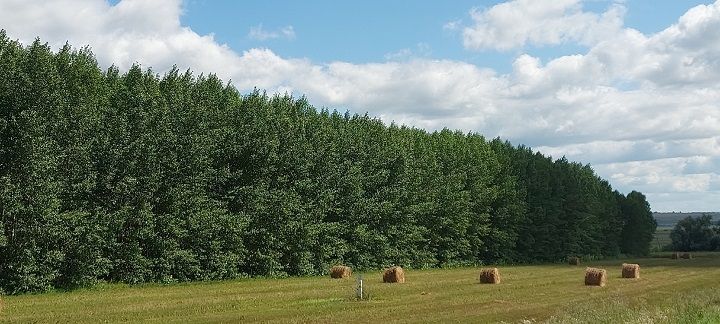 Народные приметы на 1 августа 2025 года: что можно и чего нельзя делать в этот день