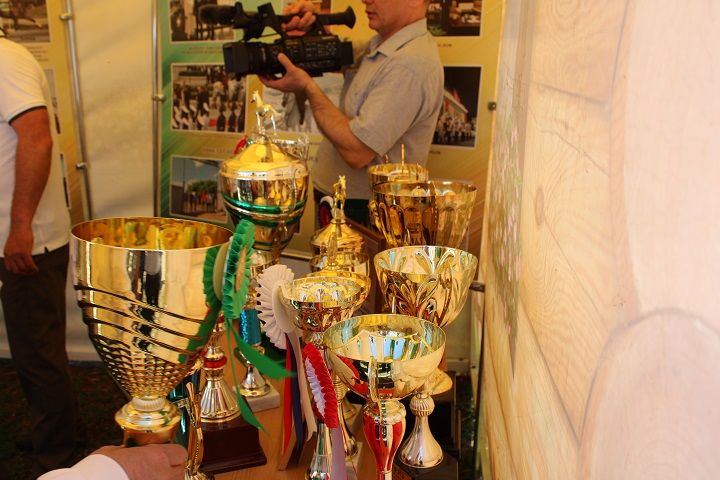 В Новошешминском районе прошел зональный семинар-совещание по вопросам повышения деловой активности населения (фоторепортаж)