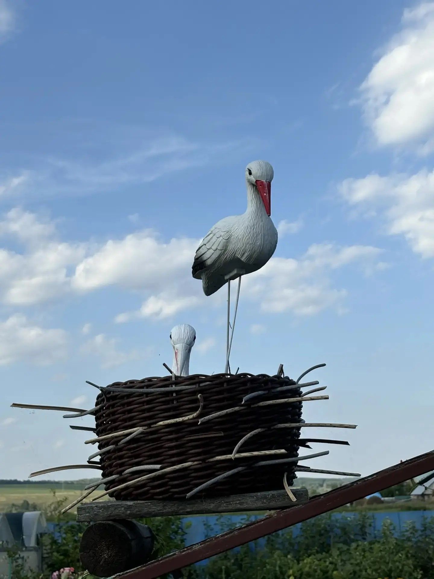 Фирдавса создала райский сад на шести сотках