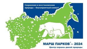 В Татарстане дан старт Международной акции «Марш парков – 2024»