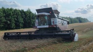 Дневник полевых работ в Новошешминском районе