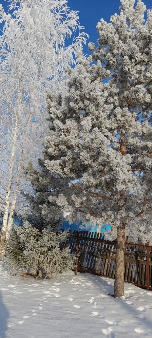 Народные приметы на 25 января 2023 года: что можно и чего нельзя делать в этот день