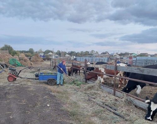 Деловая активность черемуховцев повысилась