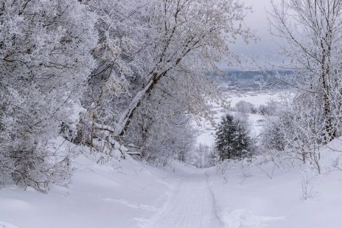 Народные приметы на 6 февраля 2023 года: что можно и чего нельзя делать в этот день