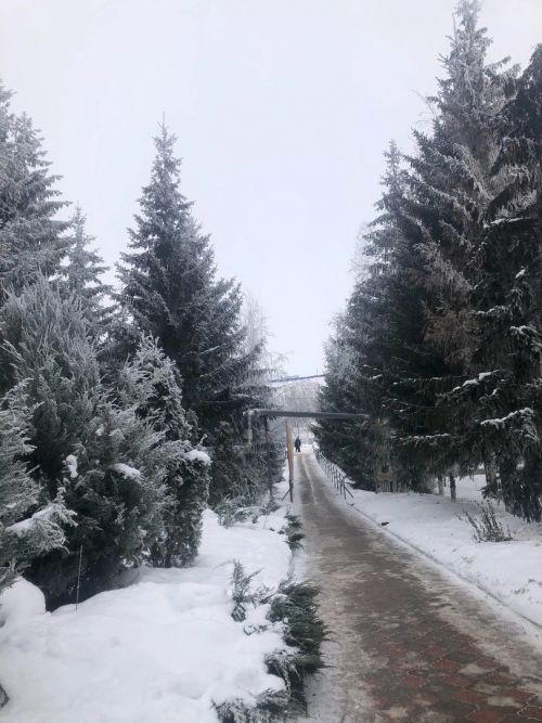 Народные приметы на 16 марта 2023 года: что можно и чего нельзя делать в этот день