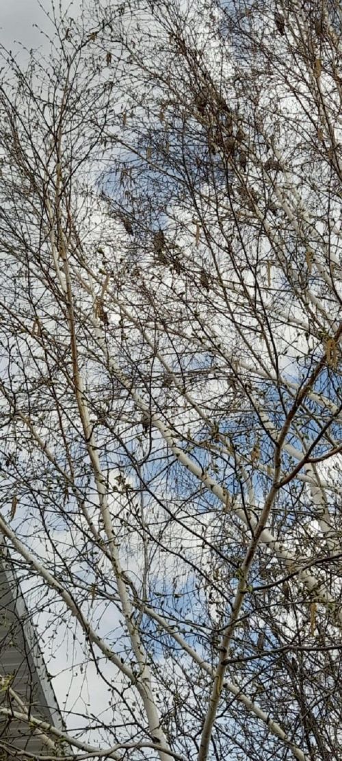 Народные приметы на 20 апреля 2023 года: что можно и чего нельзя делать в этот день