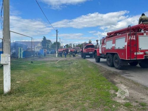 Глава Татарстана поручил главам районов провести подворовой обход