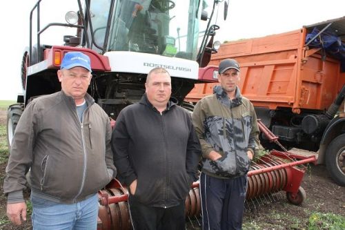 Идет заготовка кормов