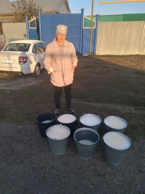 Реализация молока населением увеличилась