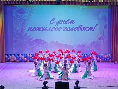 В Новошешминском Доме культуры прошел праздничный концерт в честь Дня пожилого человека