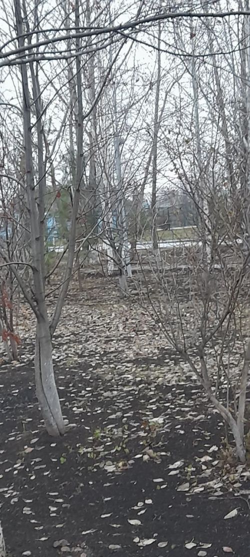 Народные приметы на 4 декабря 2024 года: что можно и чего нельзя делать в этот день