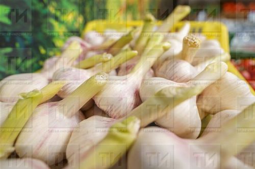 Как приготовить чесночную воду: простой рецепт с мощным эффектом