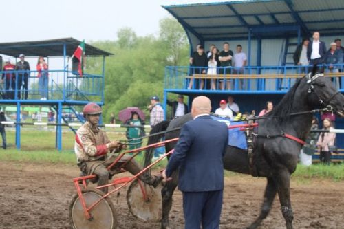 Сабантуй-2024 в Новошешминске (фоторепортаж)