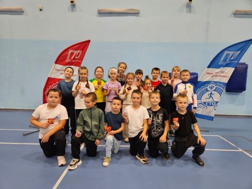Воспитанники Спортивной школы Новошешминского района успешно сдали нормы ГТО