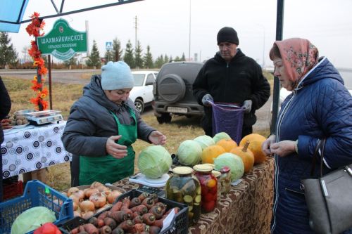 Ярмарка порадовала изобилием