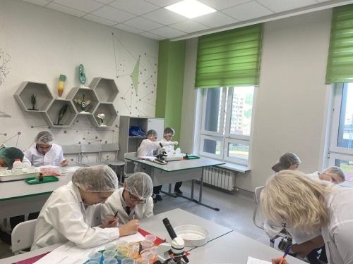 Новошешминские гимназисты – победители конкурса