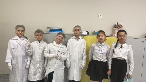 Новошешминские гимназисты – победители конкурса
