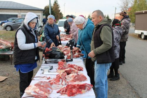 В Новошешминске прошла первая осенняя ярмарка