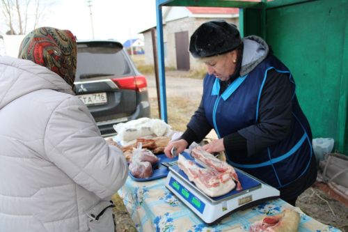 В Новошешминске прошла первая осенняя ярмарка