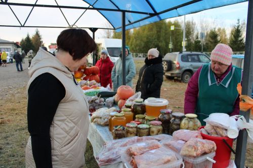 В Новошешминске прошла первая осенняя ярмарка