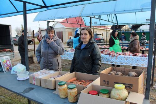 В Новошешминске прошла первая осенняя ярмарка