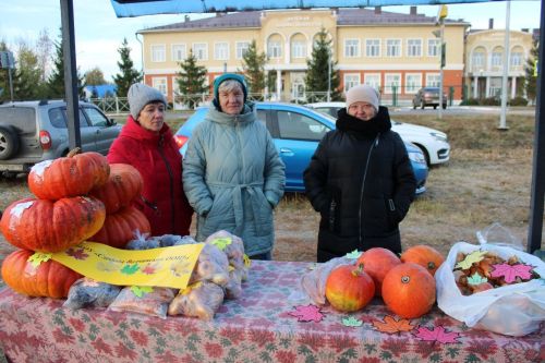 В Новошешминске прошла первая осенняя ярмарка