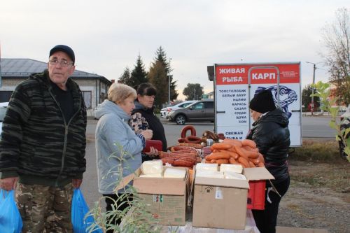 В Новошешминске прошла первая осенняя ярмарка